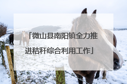 微山县南阳镇全力推进秸秆综合利用工作