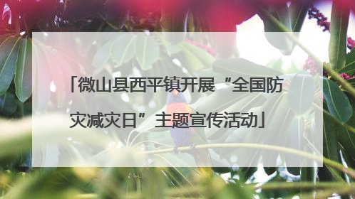 微山县西平镇开展“全国防灾减灾日”主题宣传活动