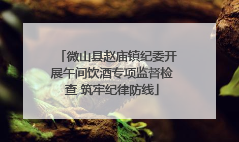 微山县赵庙镇纪委开展午间饮酒专项监督检查 筑牢纪律防线