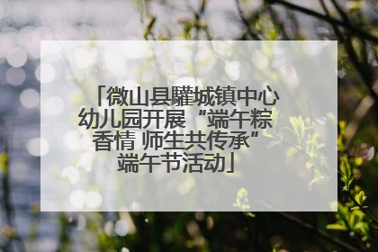 微山县驩城镇中心幼儿园开展“端午粽香情 师生共传承”端午节活动