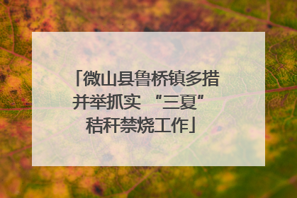微山县鲁桥镇多措并举抓实 “三夏” 秸秆禁烧工作