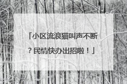 小区流浪猫叫声不断？民情快办出招啦！