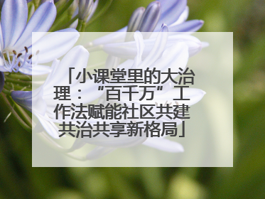 小课堂里的大治理：“百千万”工作法赋能社区共建共治共享新格局