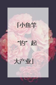 小鱼竿“钓”起大产业