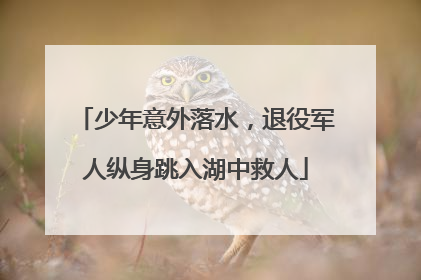 少年意外落水，退役军人纵身跳入湖中救人