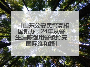 山东公安民警亮相国新办，24年从警生涯陈强用警徽照亮国际维和路