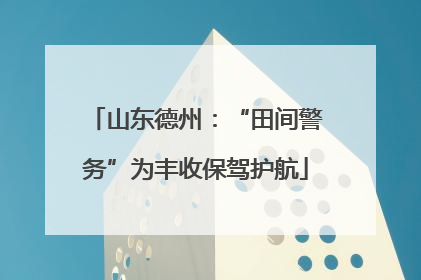 山东德州：“田间警务”为丰收保驾护航