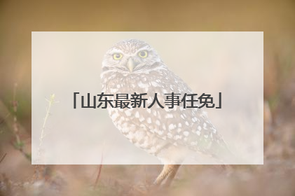 山东最新人事任免