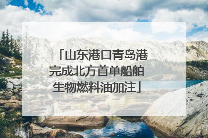 山东港口青岛港完成北方首单船舶生物燃料油加注
