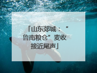 山东郯城：“鲁南粮仓”麦收接近尾声