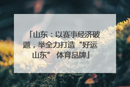山东：以赛事经济破题，举全力打造“好运山东” 体育品牌