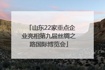 山东22家重点企业亮相第九届丝绸之路国际博览会