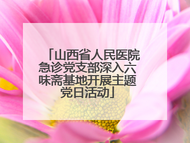 山西省人民医院急诊党支部深入六味斋基地开展主题党日活动
