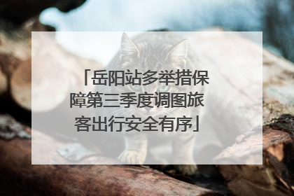 岳阳站多举措保障第三季度调图旅客出行安全有序