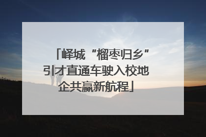 峄城“榴枣归乡”引才直通车驶入校地企共赢新航程