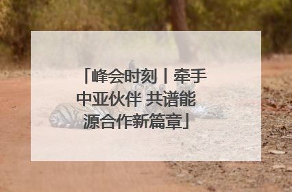 峰会时刻丨牵手中亚伙伴 共谱能源合作新篇章