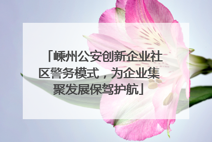 嵊州公安创新企业社区警务模式，为企业集聚发展保驾护航