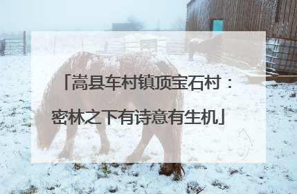 嵩县车村镇顶宝石村：密林之下有诗意有生机