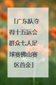 广东队夺得十五运会群众七人足球赛佛山赛区首金