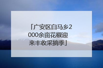 广安区白马乡2000余亩花椒迎来丰收采摘季