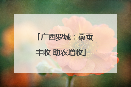 广西罗城：桑蚕丰收 助农增收