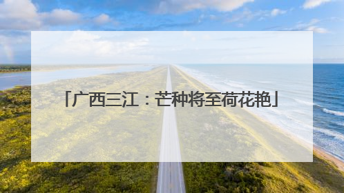 广西三江：芒种将至荷花艳