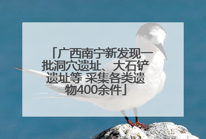 广西南宁新发现一批洞穴遗址、大石铲遗址等 采集各类遗物400余件