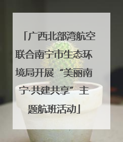 广西北部湾航空联合南宁市生态环境局开展“美丽南宁·共建共享”主题航班活动