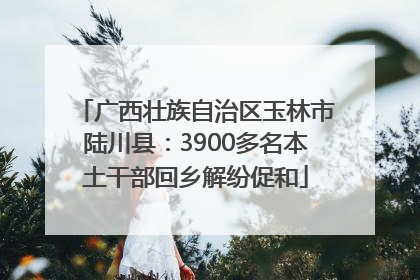 广西壮族自治区玉林市陆川县：3900多名本土干部回乡解纷促和