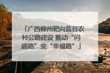 广西柳州靶向监督农村公路建设 推动“问题路”变“幸福路”