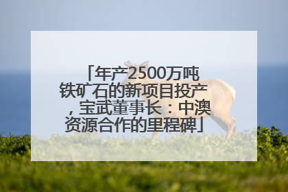 年产2500万吨铁矿石的新项目投产，宝武董事长：中澳资源合作的里程碑