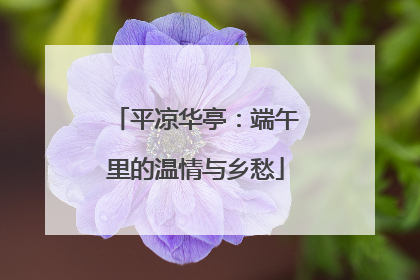 平凉华亭：端午里的温情与乡愁