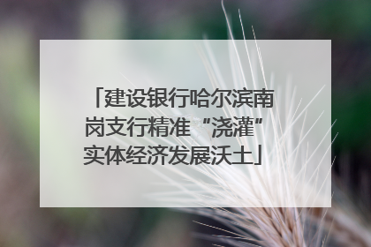 建设银行哈尔滨南岗支行精准“浇灌”实体经济发展沃土