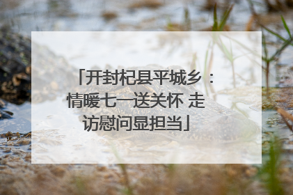 开封杞县平城乡：情暖七一送关怀 走访慰问显担当