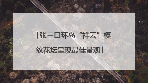 张三口环岛“祥云”模纹花坛呈现最佳景观