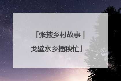 张掖乡村故事｜戈壁水乡插秧忙