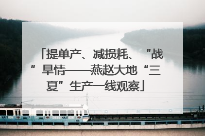 提单产、减损耗、“战”旱情——燕赵大地“三夏”生产一线观察