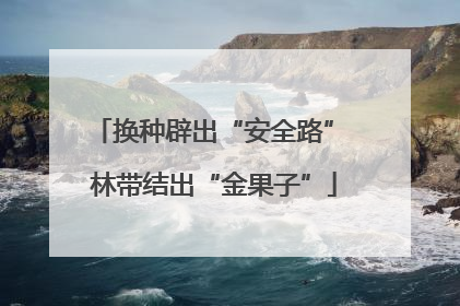 换种辟出“安全路” 林带结出“金果子”