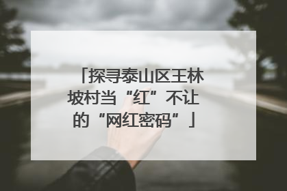 探寻泰山区王林坡村当“红”不让的“网红密码”