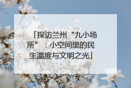 探访兰州“九小场所”：小空间里的民生温度与文明之光
