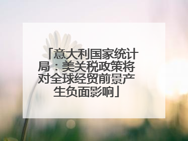 意大利国家统计局：美关税政策将对全球经贸前景产生负面影响