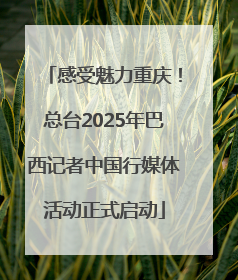 感受魅力重庆！总台2025年巴西记者中国行媒体活动正式启动