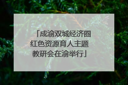 成渝双城经济圈红色资源育人主题教研会在渝举行