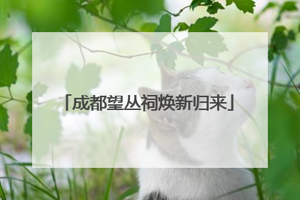 成都望丛祠焕新归来