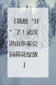 我想“开”了！武汉洪山多家公园荷花绽放