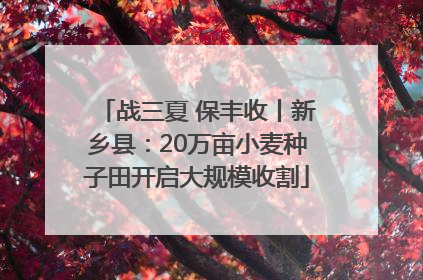 战三夏 保丰收丨新乡县：20万亩小麦种子田开启大规模收割