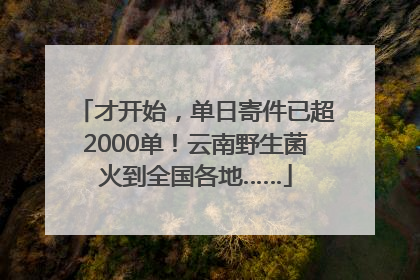 才开始，单日寄件已超2000单！云南野生菌火到全国各地……