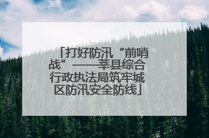 打好防汛“前哨战”——莘县综合行政执法局筑牢城区防汛安全防线