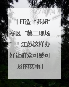 打造“苏超”赛区“第二现场”！江苏这样办好让群众可感可及的实事