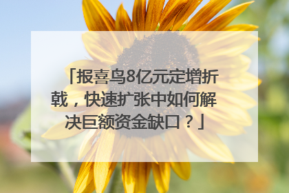 报喜鸟8亿元定增折戟，快速扩张中如何解决巨额资金缺口？